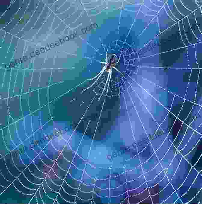 A Close Up Of A Spider Web With A Spider In The Center Marram: Memories Of Sea And Spider Silk