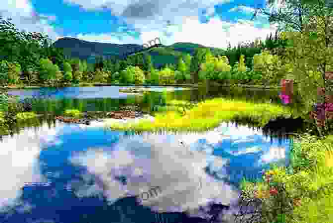 A Serene Landscape Featuring A Pristine Lake Reflecting A Clear Blue Sky, Inviting Viewers To Find Stillness And Contemplation In The Tranquility Of Nature. Clear Skies Jessica Scott Kerrin