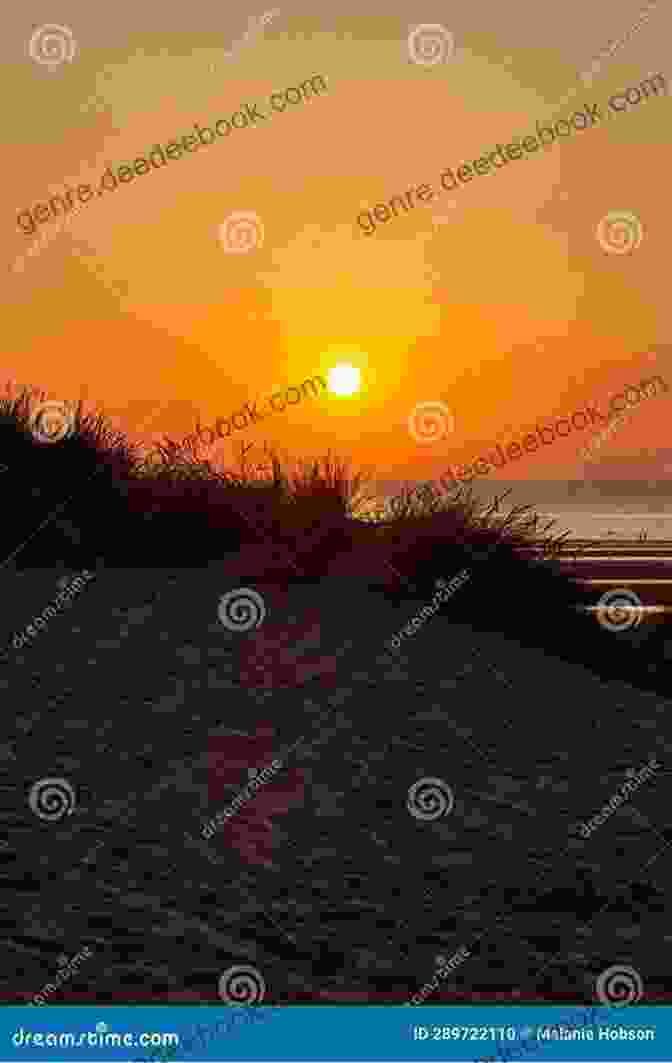 A Sunset Over A Coastal Landscape With Marram Grass In The Foreground Marram: Memories Of Sea And Spider Silk