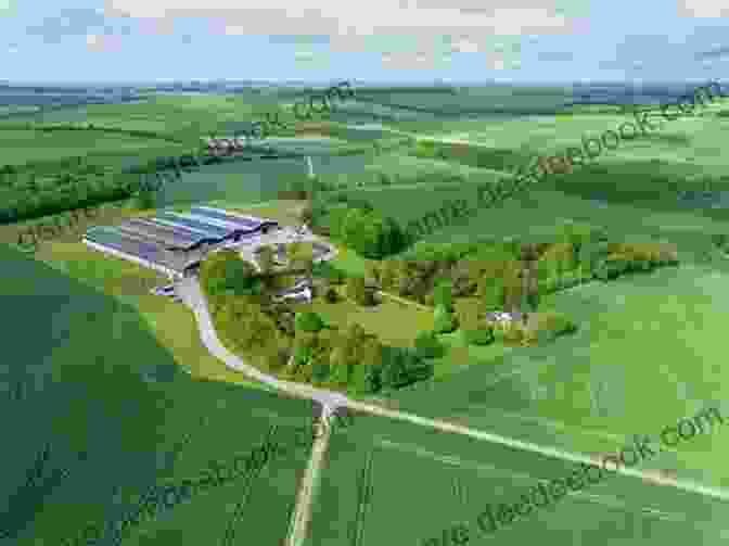 Aerial View Of Aunt Beth Farm, With Rolling Green Fields, A Barn, And A Farmhouse In The Distance Aunt Beth S Farm Beth Zaayer