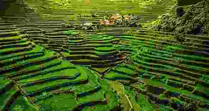 Banaue Rice Terraces, A UNESCO World Heritage Site In The Philippines. Phillipines: Manila Luzon (South East Asia 6)