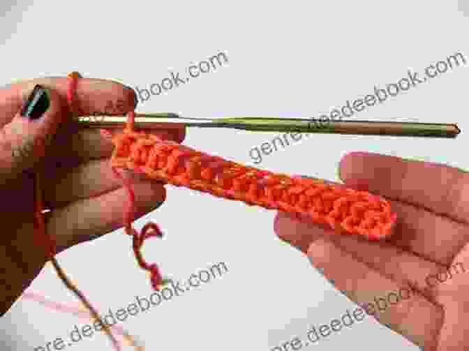 Half Double Crochet Stitch Crochet Stitches Collection: Learn To Make Cute Crochet Stitches And Create Wonderful Projects For One Hour