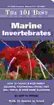 101 Best Marine Invertabrates (Adventurous Aquarist Guide)