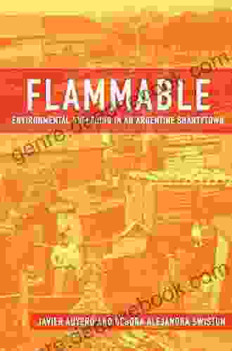 Flammable: Environmental Suffering In An Argentine Shantytown