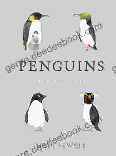 Penguins And Other Seabirds Matt Sewell