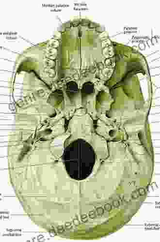 Photo Atlas of Skull Base Dissection: Techniques and Operative Approaches