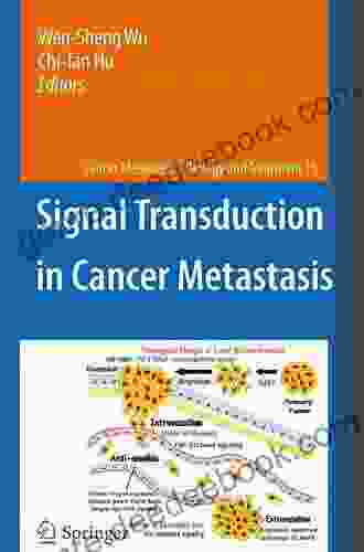 Signal Transduction In Cancer Metastasis (Cancer Metastasis Biology And Treatment 15)