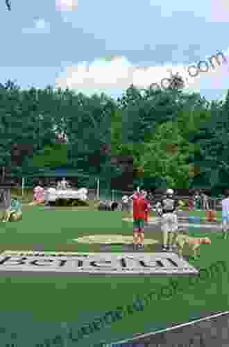 Dog Park Design Development And Operation