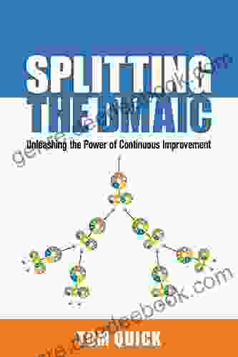 Splitting The DMAIC: Unleashing The Power Of Continuous Improvement