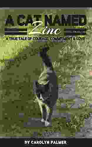 A Cat Named Zinc A True Tale Of Courage Commitment Love